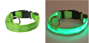 LED Pet dog Collar