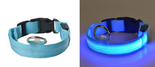 Load image into Gallery viewer, LED Pet dog Collar
