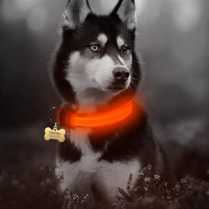 LED Pet dog Collar